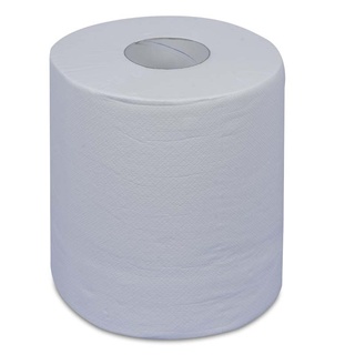 zetRoll® Handtuchrolle hochweiss, 100% Zellstoff, 2-lagig, 22 cm x ca. 160 m