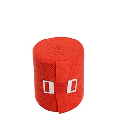 WERO SWISS© Elasticolor, 10 Stk. (4 cm x 5 m, Rot)