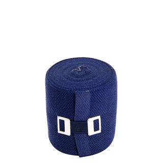 WERO SWISS© Elasticolor, 10 Stk. (10 cm x 5 m, Blau)