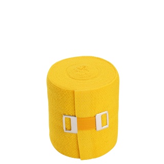 WERO SWISS© Elasticolor, 10 Stk. (8 cm x 5 m, Gelb)